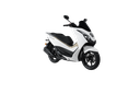 B15WhiteJune15_15-1.png