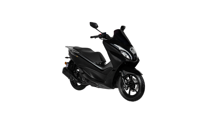 Burgman 15